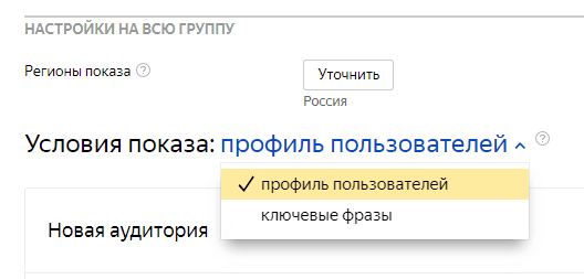 Таргетинги медийной кампании Директ