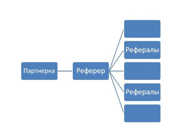 Структура рефералов