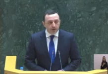 Премьер Грузии Гарибашвили рассказал о призывах Украины открыть второй фронт против России