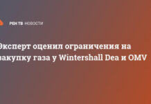 Эксперт оценил ограничения на закупку газа у Wintershall Dea и OMV