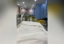 Певица Гречка лежит в больнице