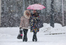 Метель и до минус 10°C ждут москвичей 11 января