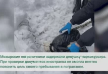 В Белоруссии пограничники задержали причастную к наркотрафику россиянку