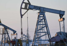 Новак положительно оценил ситуацию на нефтяном рынке