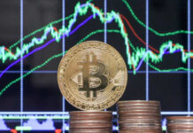 Стоимость биткоина достигла максимума с августа 2022 года