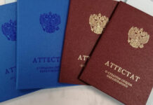 Выпускники школ новых регионов РФ получат аттестат по промежуточным оценкам