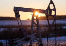 Новак уточнил, насколько будет сокращена добыча нефти в России