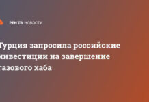Турция запросила российские инвестиции на завершение газового хаба
