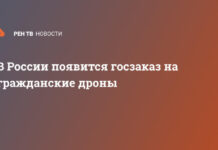 В России появится госзаказ на гражданские дроны