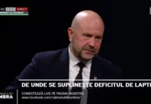 Вице-премьер Молдавии предупредил страну о последствиях выхода из СНГ