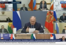 Путин призвал обеспечить сельхозпроизводителей семенами