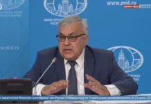 В МИД прокомментировали возможность новой зерновой сделки с Турцией