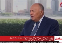 Глава МИД Египта отметил глубокие отношения между Каиром и Москвой