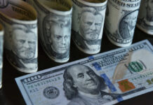 В США встревожились последствиями дедолларизации мировой экономики