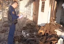 Подозреваемых в поджоге здания мировых судей в Ванино заключили под стражу