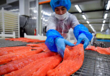 Посол РФ в Осло отметил пользу введения запрета на ввоз рыбы из Норвегии