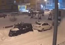 Глыба снега рухнула с крыши на гулявшего с собакой россиянина и попала на видео