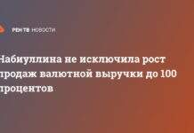 Набиуллина не исключила рост продаж валютной выручки до 100 процентов