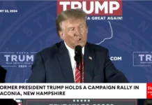 «Нравится вам или нет». Трамп тепло отозвался о Путине и Си Цзиньпине