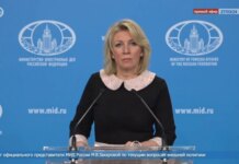 Запад втягивает Интерпол в политическую игру, заявил МИД России