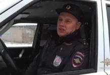 В Братске полицейские спасли попавшего под машину коты и нашли ему хозяев