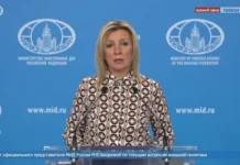 Захарова: РФ надеется, что новый кабмин Сербии продолжит линию сотрудничества с Москвой