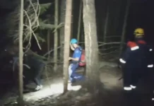 В Карачаево-Черкесии в темноте спасли потерявшегося в лесу туриста