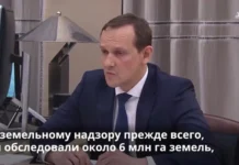 Росреестр выявил более 430 тыс. га нецелевого использования земли в 2023 году
