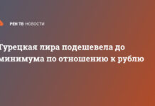 Турецкая лира подешевела до минимума по отношению к рублю