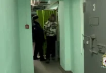 Подозреваемого в убийстве двух пенсионеров в Сарове арестовали