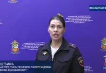 В аэропорту Толмачево изъяли посылку с капсулами трамадола