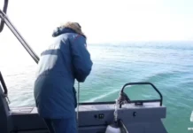 На побережье Кубани собрали более 71 тысячи тонн загрязненного песка