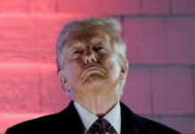 Трамп заработал больше $25 млрд за сутки после запуска мемкоина