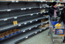 Посол России заявил о безуспешных попытках экономики Финляндии выйти из рецессии