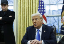 Илон Маск лично попросил Трампа отменить высокие пошлины