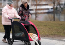 В Госдуме назвали дату следующего повышения пенсий