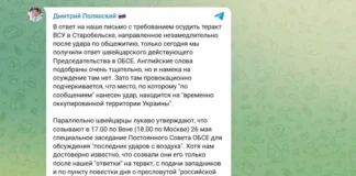 Полянский назвал провокацией и лицемерием ответ ОБСЕ на теракт в Старобельске