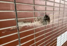 Восьмилетняя девочка погибла при атаки ВСУ в Подмосковье