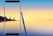 Вот это забота! Samsung обновила 10-летние смартфоны Galaxy S8 и Galaxy Note 8 | ichip.ru