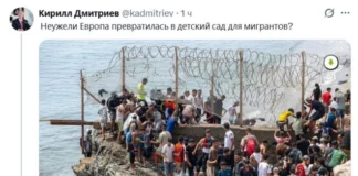 Дмитриев задался вопросом, стала ли Европа детским садом для мигрантов