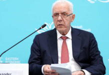 Гуцан предложил отменить в 2027 году проверки пострадавшего от БПЛА бизнеса