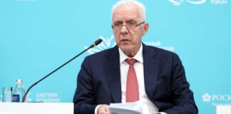 Гуцан предложил отменить в 2027 году проверки пострадавшего от БПЛА бизнеса