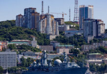 Лихачев: Приморская и Хабаровская АЭС закроют энергодефицит на Дальнем Востоке