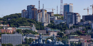 Лихачев: Приморская и Хабаровская АЭС закроют энергодефицит на Дальнем Востоке